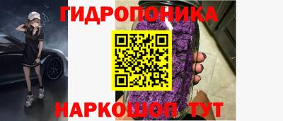 стафф Новозыбков