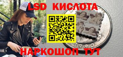 стафф Новозыбков