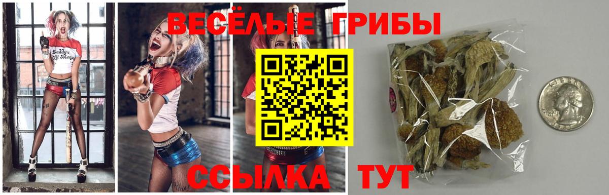 Галлюциногенные грибы ЛСД  Вход с VPN  Северобайкальск 